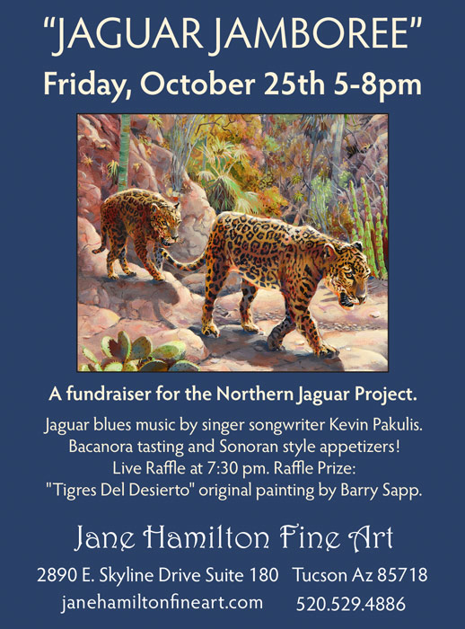 Tucson Lifestyle 2013