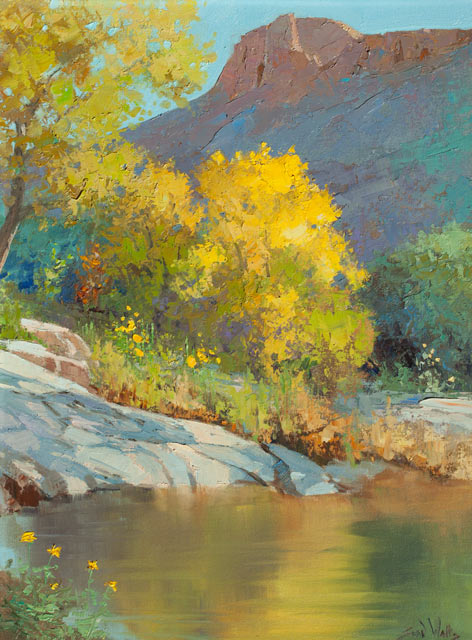 Sabino Pool 30x24 SOLD!