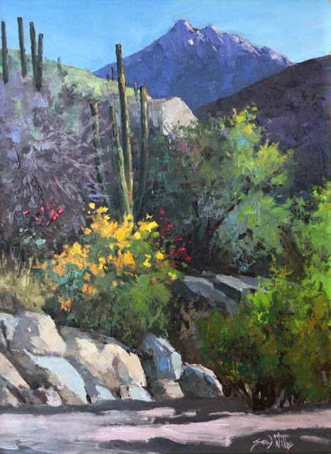 Hills of Tucson 24x18