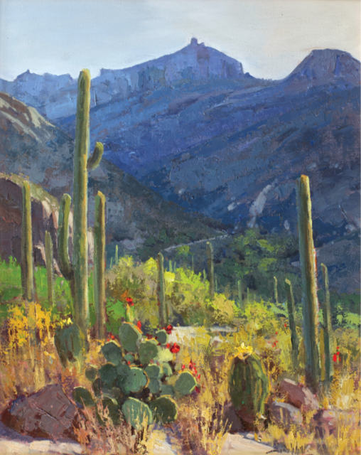 Into The Sonoran Light 30x24