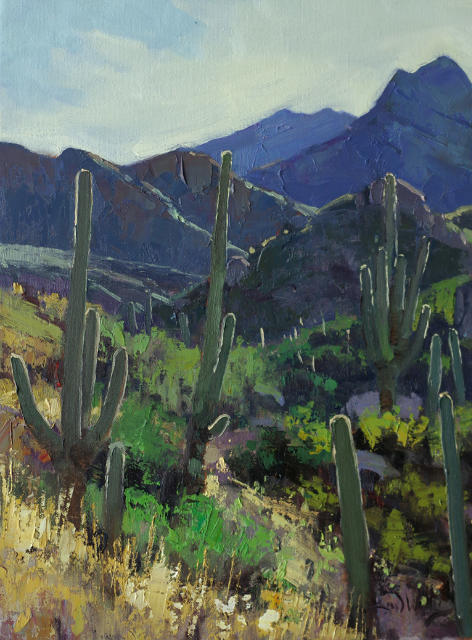 Bear Canyon In The Morning 16x12