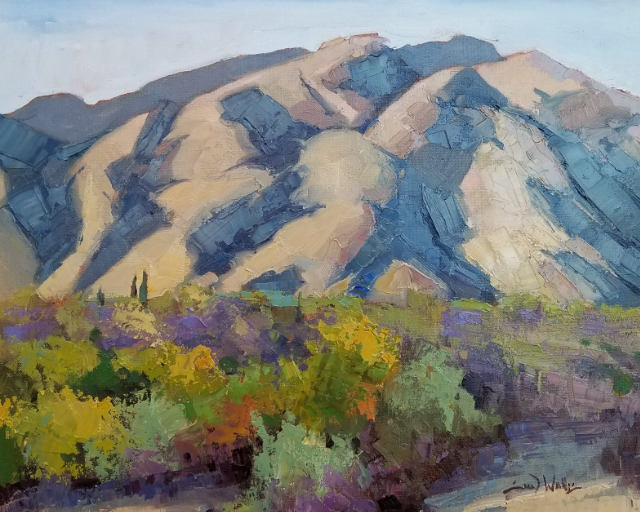 Tucson Evening 16x20