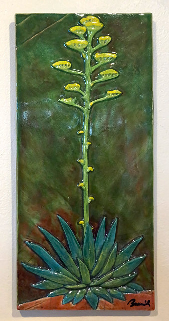 Small Agave 16x6