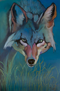 Coyote Blue 36x24 W.jpg