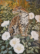 Nicolas Wilson2W.jpg