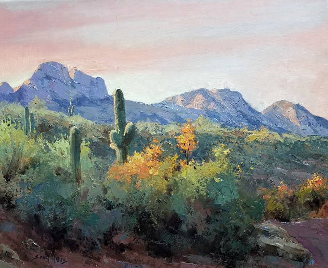 Tucson Evening 16x20