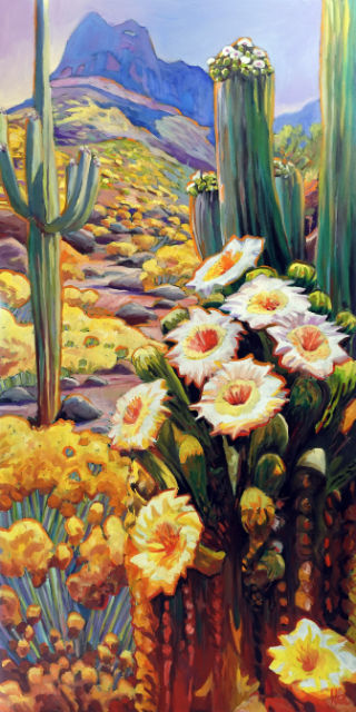 Picacho Saguaro Blooms 56x28