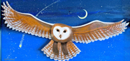Shooting Star 12x24W.jpg