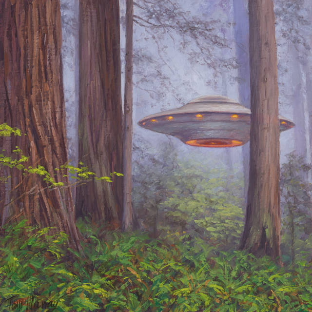 Lost In The Redwoods 8x8 SOLD!