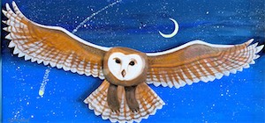 Shooting Star 12x24