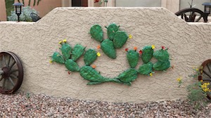 Flowering Prickly Pear