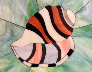           Caribbean Bubble Shell 9.5x11.5