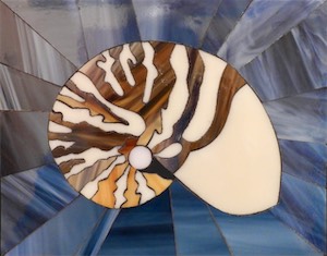 Nautilus 9.5x11.5