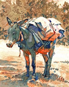 Respite For Rosita 10x8 wc