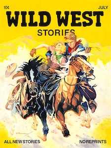 Wild West Stories 24x18