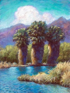 Agua Caliente Park 8x6