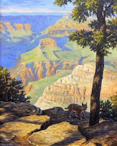 Canyon Cat