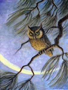 Owl