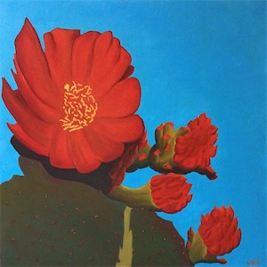 Cactus Bloom 36x36