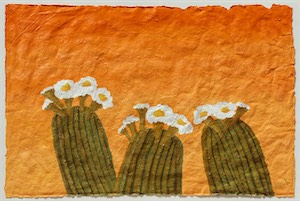 Cactus Flowers 20x30.