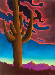 Monsoon Sentinel 30x22
