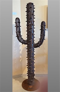 SOLD! 2 Arm Saguaro 5ft 2in x 24in