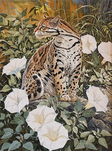 Nicolas Wilson.