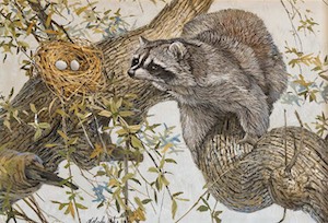 SOLD! Nicolas Wilson