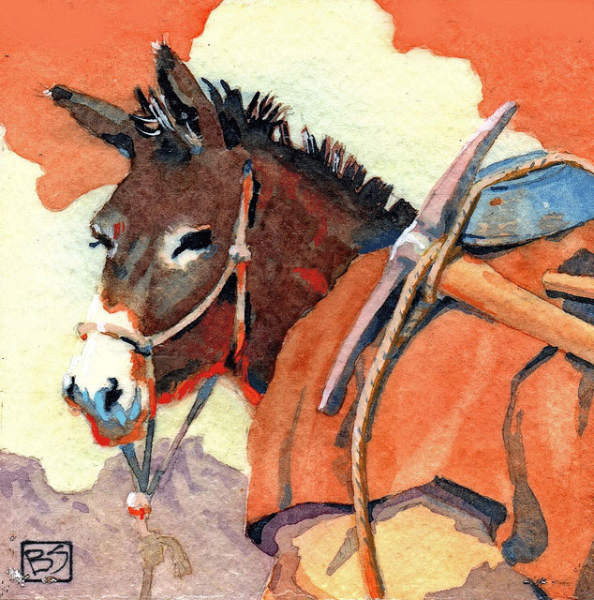 Miners Burro 6x6 mixed SOLD!