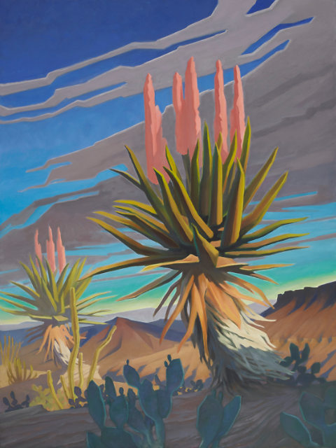 South African Aloe Vera 40x30 SOLD!